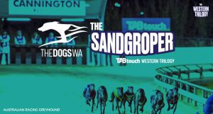 WA greyhound racing gets new $500,000 slot race The Sandgroper