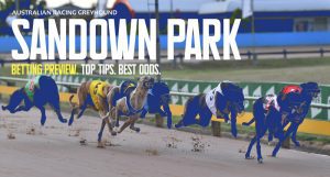 Sandown greyhound racing tips Melbourne Cup Night Tuesday Nov 1 2022