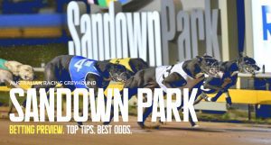 Sandown greyhound racing tips Thursday November 10 2022