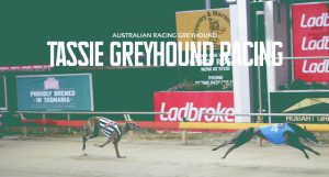 Greyhound racing set for significant growth in Tasmania North-West Coast with new track