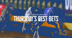 Australian greyhound racing tips Thursday October 13 2022