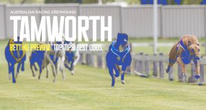 Tamworth non-TAB greyhound tips Saturday May 4 2024
