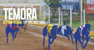 Temora greyhound tips 8/5/2024: Expert picks for every race