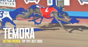 Temora Greyhound Tips - April 10