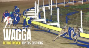 Free Wagga greyhound tips Friday, April 26, 2024
