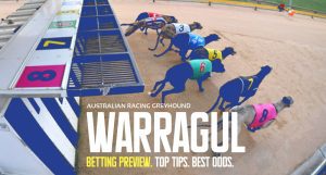 Warragul greyhound tips and best bets Thursday November 10 2022
