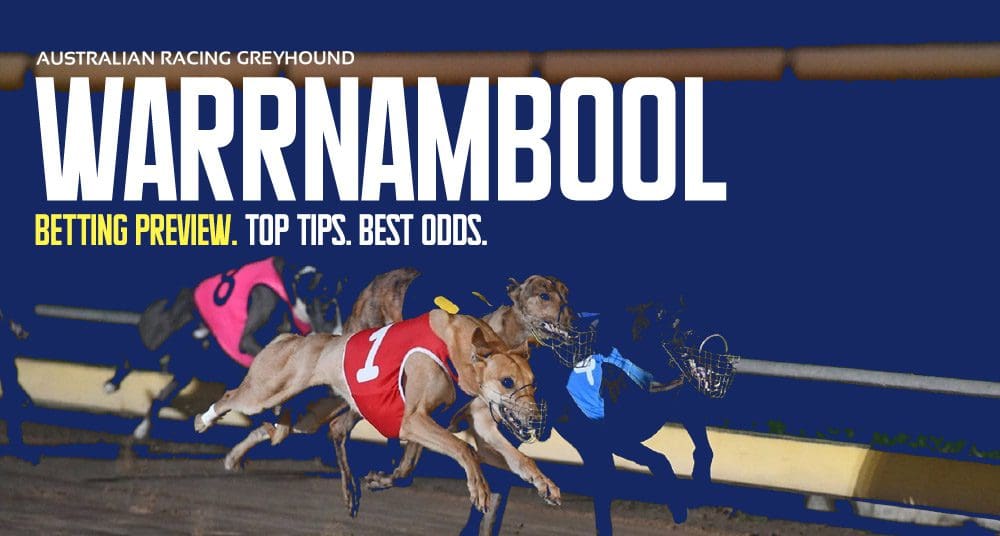 Warrnambool greyhound races best bets & value tips | November 28