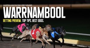 Warrnambool greyhound racing tips Monday October 17 2022
