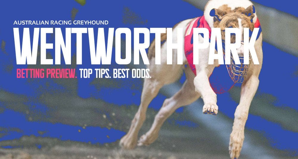 Wentworth Park tips and best bets