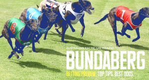 Bundaberg greyhound preview & best bets | Monday, 3/7/23