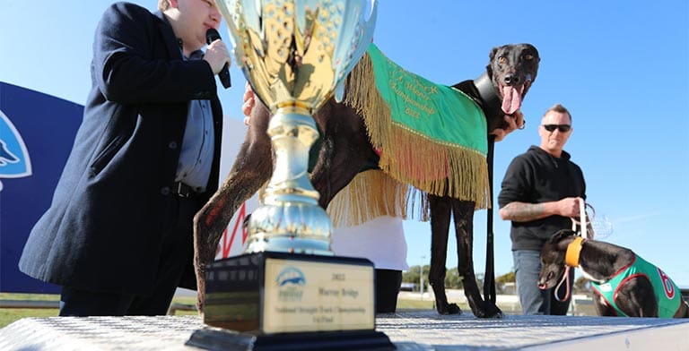 He's On Fire wins at Murray Bridge