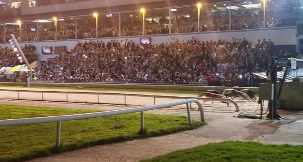 Students night at Shelbourne Park