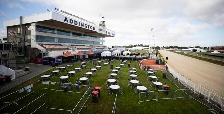 Addington greyhounds