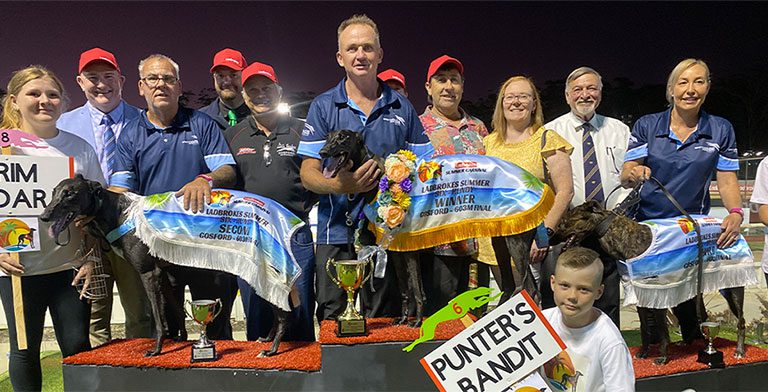 Punter's Bandit wins Summer Six-Hundy Final
