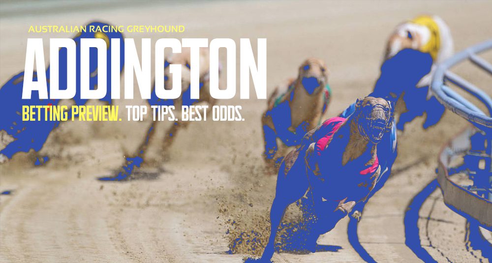 Addington NZ greyhound tips