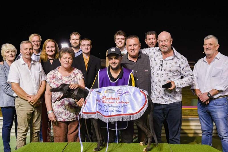 Couch Surfer will face a stern test in the Galaxy heats