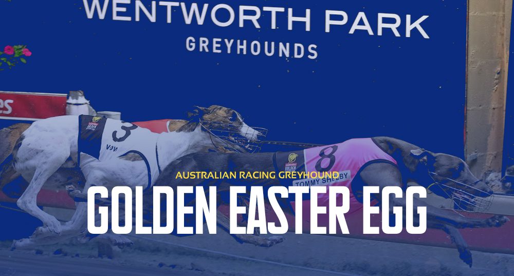 Golden Easter Egg greyhound racing