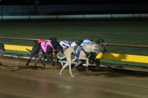 Gibbons caps off a good week with Kelsey Bale's last to first Ballarat Cup win