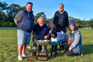 2022 Waterloo Cup winner He's No Slouch set to win 150th Waterloo Cup running