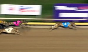 Crumble Monelli wins 2023 Group 2 WA Derby at Cannington