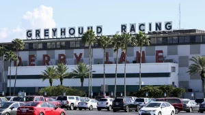 Flordia court finds damages not payable as greyhounds are free to race elsewhere not banned