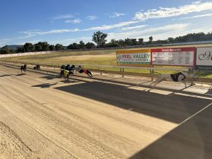 Just 22 dogs set to contest 2023 Listed Chief Havoc Cup heats at Gunnedah