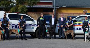 Retired WA greyhounds to support WA Police through new GAP partnership