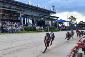 Sale greyhound racing club meeting postponed due to track conditions