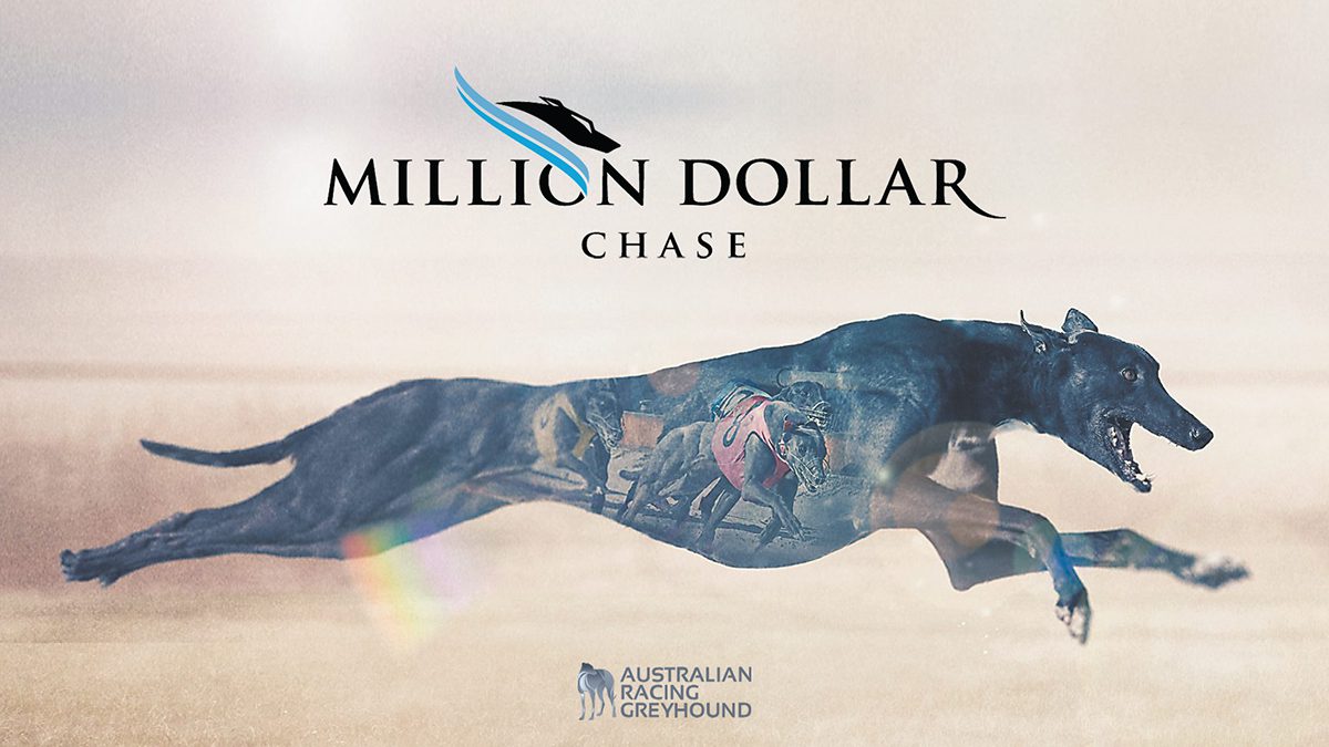 Million Dollar Chase box draw 2023