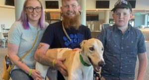 Twenty-four dogs find new homes on Greyhound Adoption Day