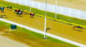 Plum Tuckered wins again in near track record time at Townsville