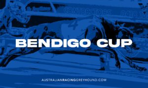 Jason Thompson kennel with double chance at a sixth Bendigo Cup
