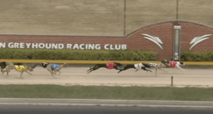Quantifiable leads the way to victory in Goulburn Cup