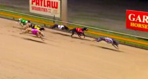 Mark Sure Can makes it nine from nine at Rockhampton