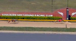 Zipping Novak gives a galloping lesson in Goulburn Cup heats