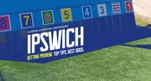 Ipswich greyhound tips and preview - April 4