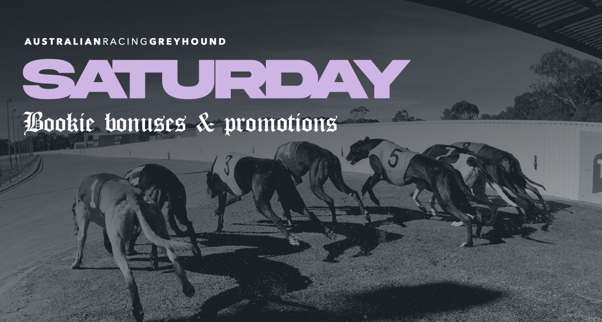 Saturday greyhound racing promotions