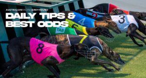 Today's free greyhound tips & best odds - February 14, 2024