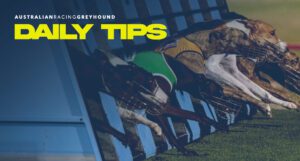 Daily Greyhound Tips
