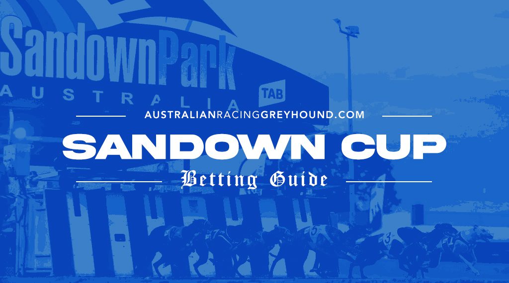 Sandown Cup Betting Guide