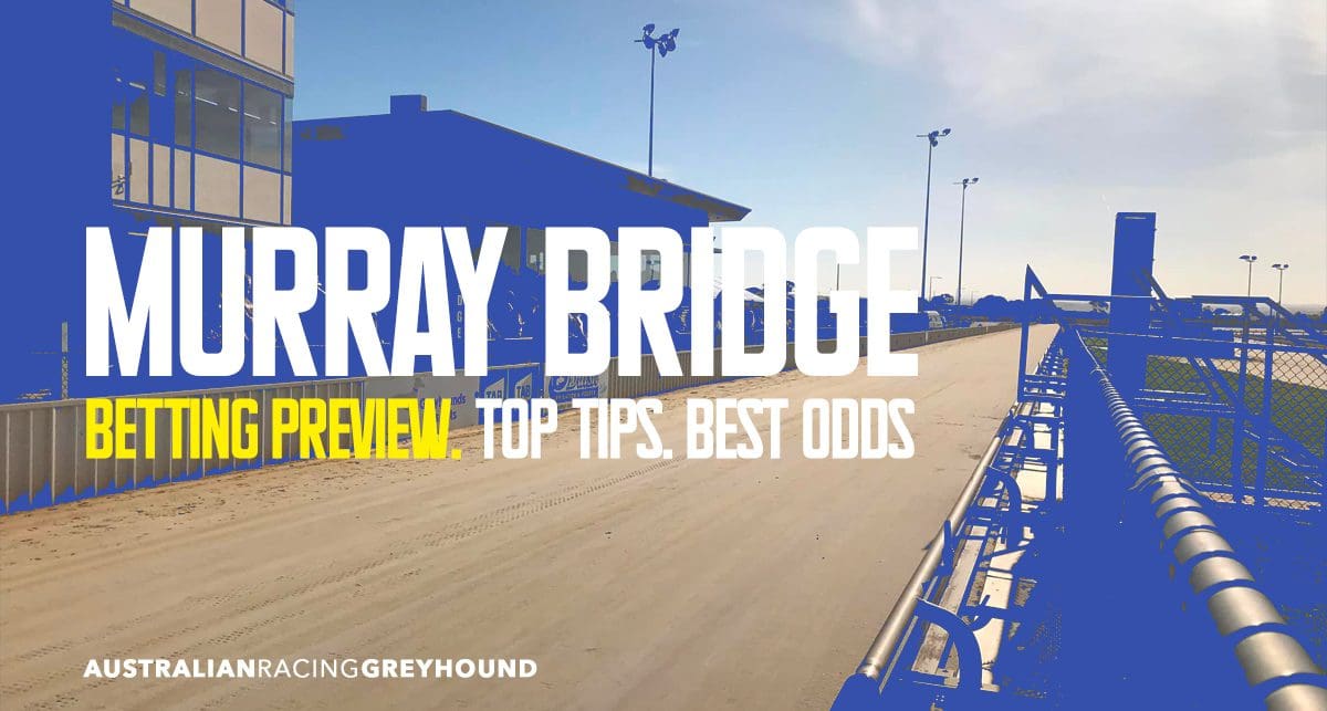 Murray Bridge Straight Tips & Best Bets | Tuesday 21/1/2025