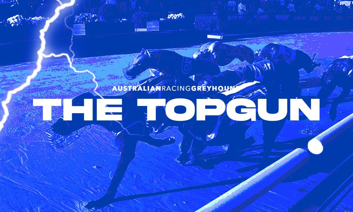 Topgun betting