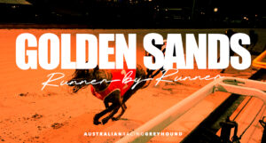 Golden Sands racing tips