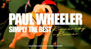 Paul Wheeler Simply The Best greyhound tips