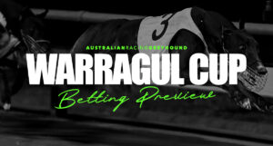 Warragul Cup betting preview